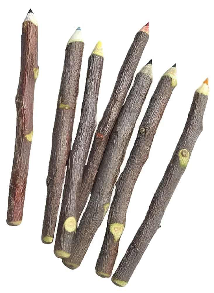 Apple Pencil: 7 Color Choices Of Twig Pencils