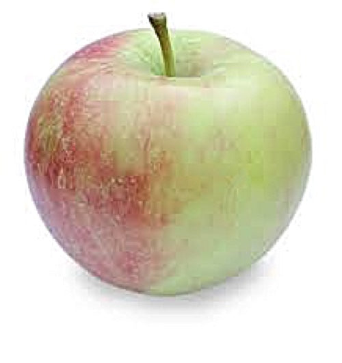 Apple Pencil